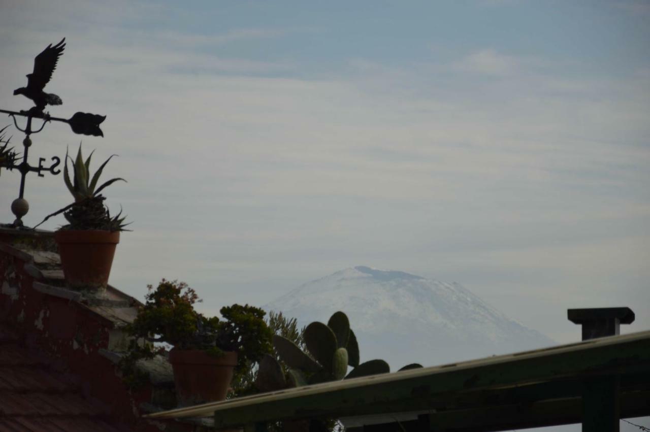 Casa Vacanze Sapienza 29 Naples Luaran gambar